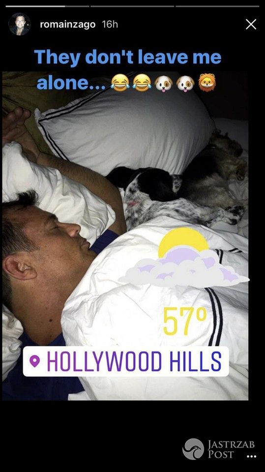 Romain Zago z psiakami Joanny Krupy w jej rezydencji