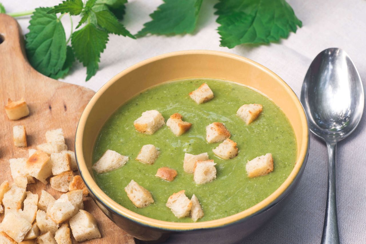 WCZESNOJESIENNA ZUPA Z POKRZYWY I MIĘTY Z GRZANKAMI