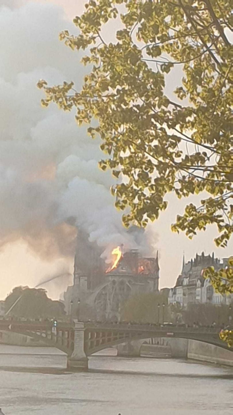 Katedra Notre Dame płonie