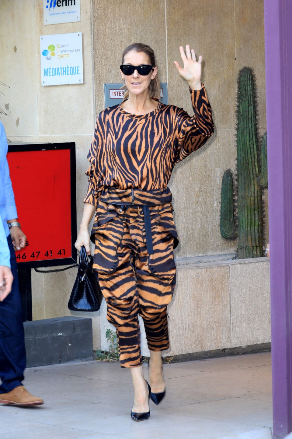 Céline Dion w Paryżu – 2017 rok