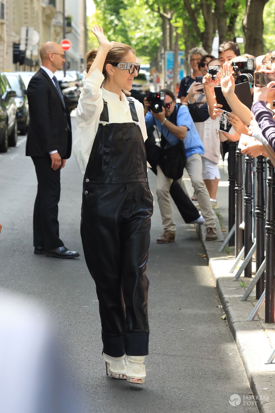 Celine Dion metamorfoza