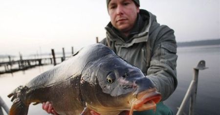 Ile zarobi pakowacz prezentów, ile sprzedawca karpi?