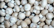 Co trzecia wyeksportowana pieczarka pochodzi z Polski