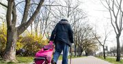 Senat przyjął bez poprawek ustawę w sprawie czternastej emerytury