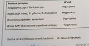 W tym roku potwierdzono w Polsce 2753 przypadki boreliozy i 47 kleszczowego zapalenia mózgu