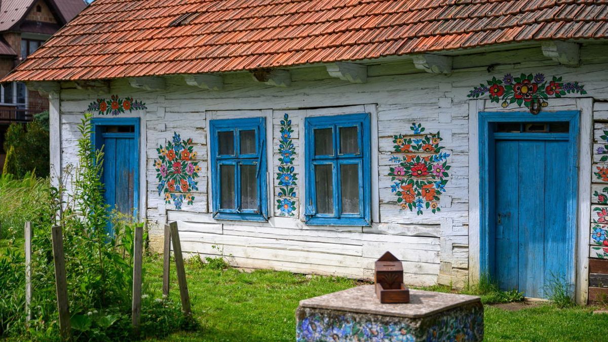 zdjęcie