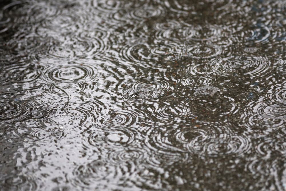 W sobotę przelotne opady deszczu; najcieplej na zachodzie kraju.