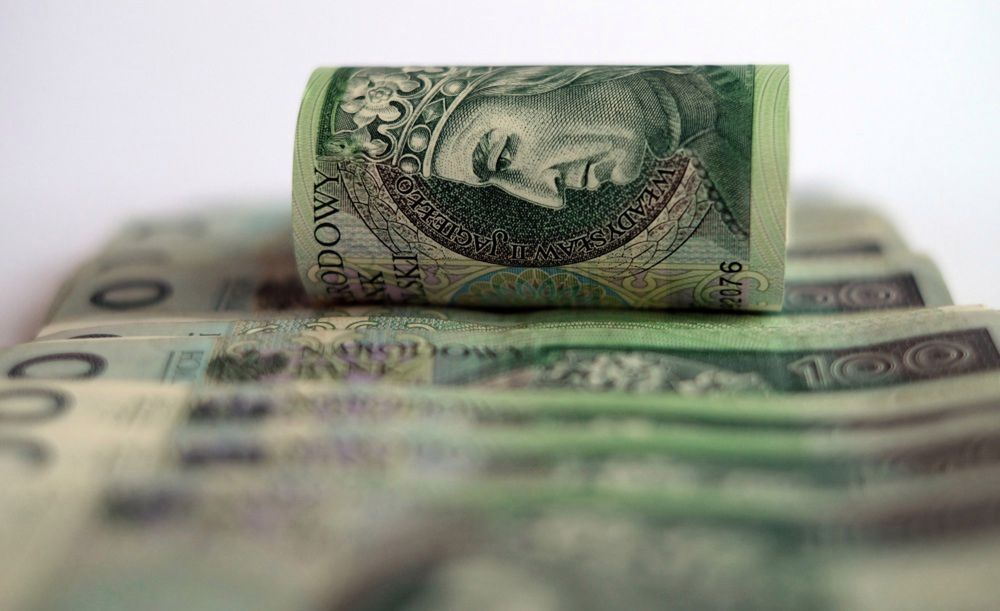 <p>Przemyl, 26.01.2017. Banknoty, 26 bm. (dd/mgut) PAP/Darek Delmanowicz</p>