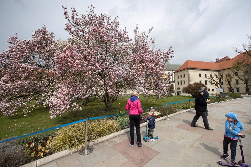 Chłodna środa z przelotnymi opadami deszczu.
