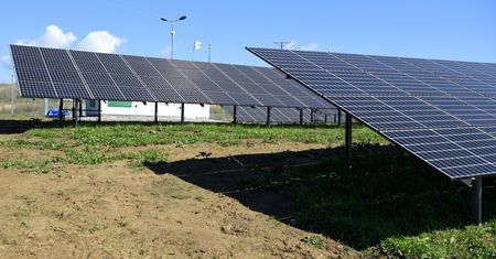 W piątek w Polsce padł rekord generacji prądu ze źródeł odnawialnych.