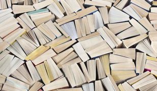 20 najlepszych książek 2013 roku - literatura polska