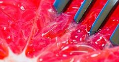 Produkty, które najlepiej przyspieszają metabolizm
