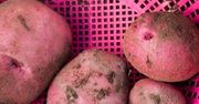 7 produktów, które spożywasz niewłaściwie