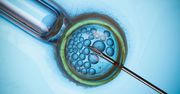 Zamrażanie komórek jajowych pogarsza wyniki in vitro