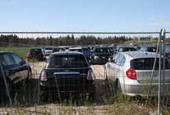 Już 300 tys. aut zostało sprawdzonych w usłudze "Historia pojazdu"