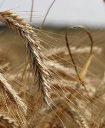 Kosmici się na nas obrazili