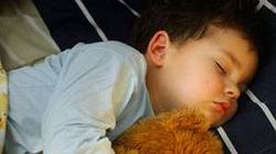 Mi najlepszym przyjacielem człowieka