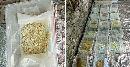 Kolejne laboratorium narkotyków syntetycznych zlikwidowane.