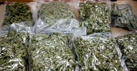 30 kilogramów narkotyków wartych 2 miliony złotych przejęte przez policję