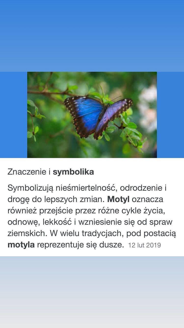 Natalia Siwiec odpowiada Violi Kołakowskiej