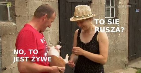 "Rolnik szuka żony": Zbigniew i Kasia bohaterami memów!