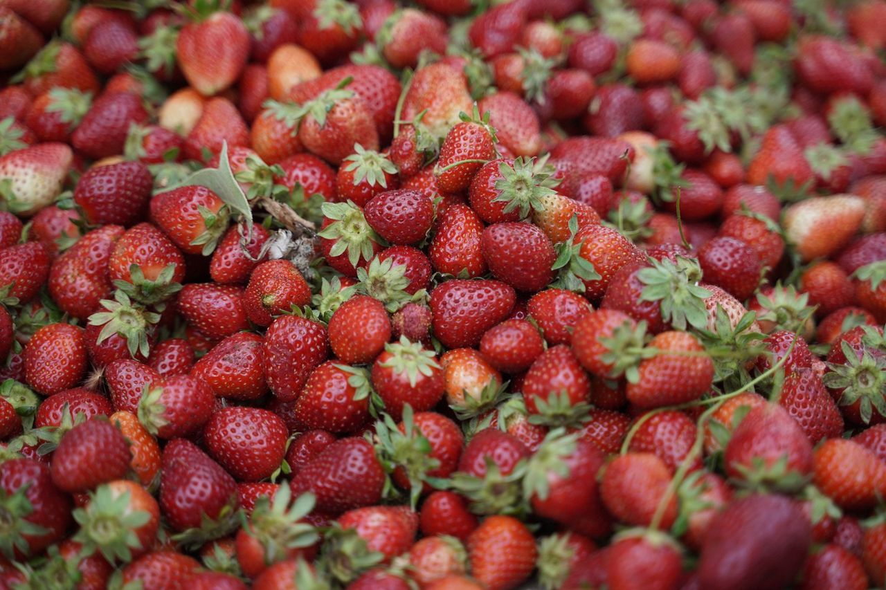 Lepiej od razu wyrzuć. Takich truskawek nie jedz pod żadnym pozorem