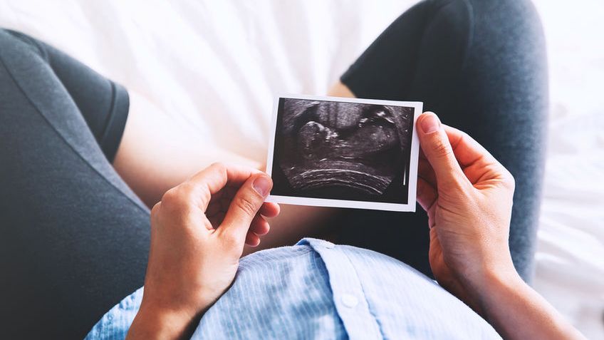 Jak rozwija się płód?