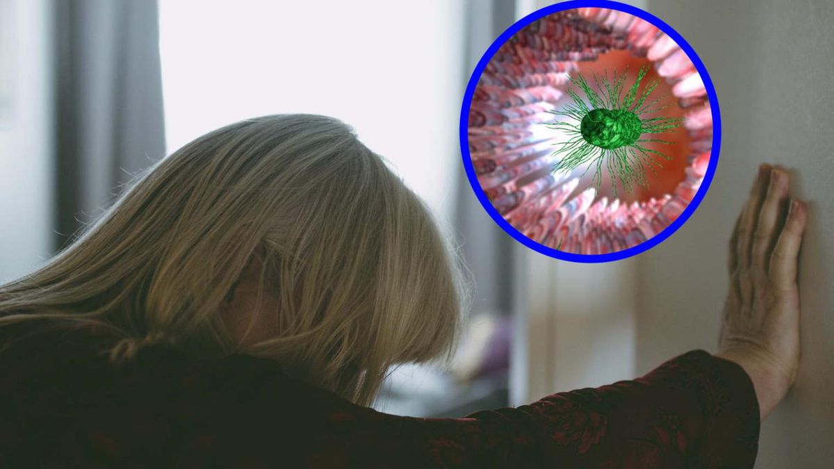 Tak może objawiać się zespół przerostu bakteryjnego jelita cienkiego