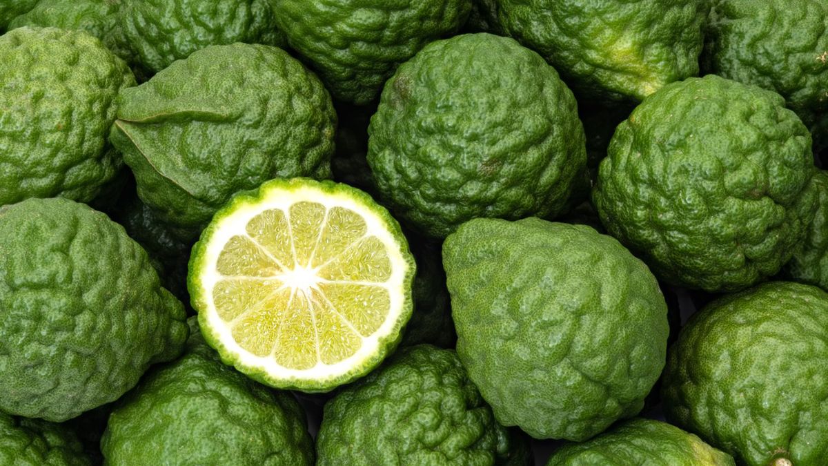 Limonka kaffir różni się swoim wyglądem od tradycyjnej limonki. Posiada charakterystyczną, pomarszczoną skórkę.