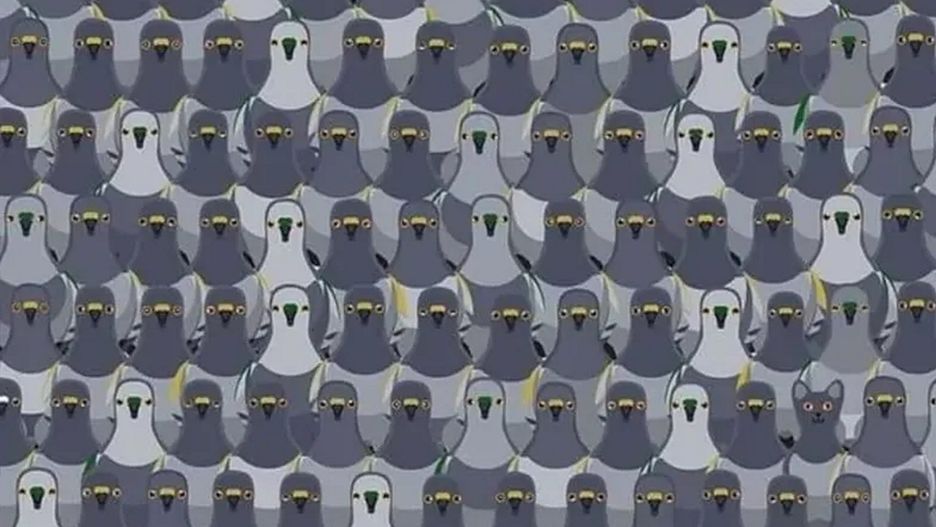 Znajdziesz kota w 7 sekund? Tylko pięć procent ludzi potrafi to zrobić