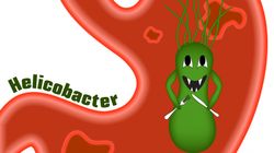 Helicobakter pylori test - charakterystyka bakterii, czynniki ryzyka zakażeń, wskazania do diagnostyki, test,  choroby wynikające z zakażenia, leczenie, profilaktyka
