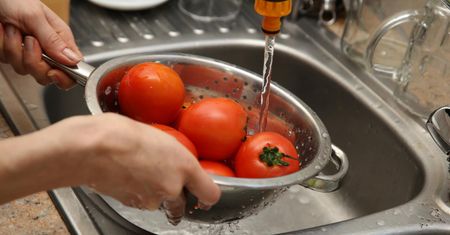 Jak można zarazić się cholerą w Polsce? Niebezpieczny jest okres upałów i powodzi