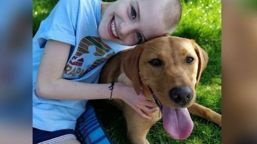 Pies wskoczył jej na kolana. Później okazało się, że 10-latka ma nowotwór