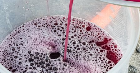 Prawie codziennie pili sok winogronowy. Taki był skutek