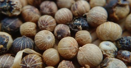 Zwalcza groźne bakterie, obniża cholesterol i cukier. Polacy rzadko po to sięgają