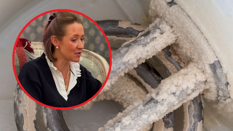 Jak wyczyścić czajnik bez użycia octu?