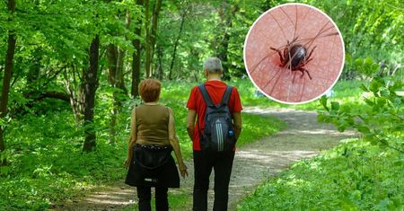Włóż do butów lub kieszeni. Komary i kleszcze nawet się nie zbliżą