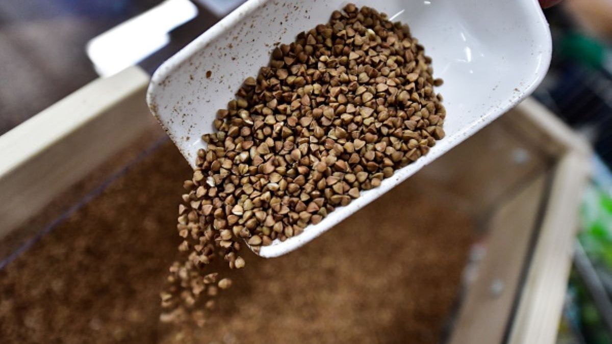 Kasza gryczana zawiera mnóstwo witamin, ale także szkodliwy glifosat