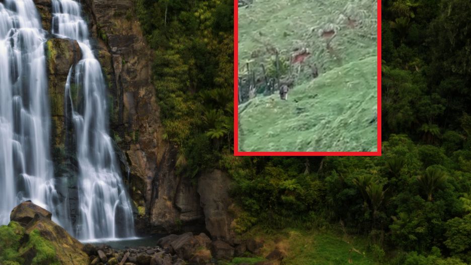 Rodzina zniknęła w buszu