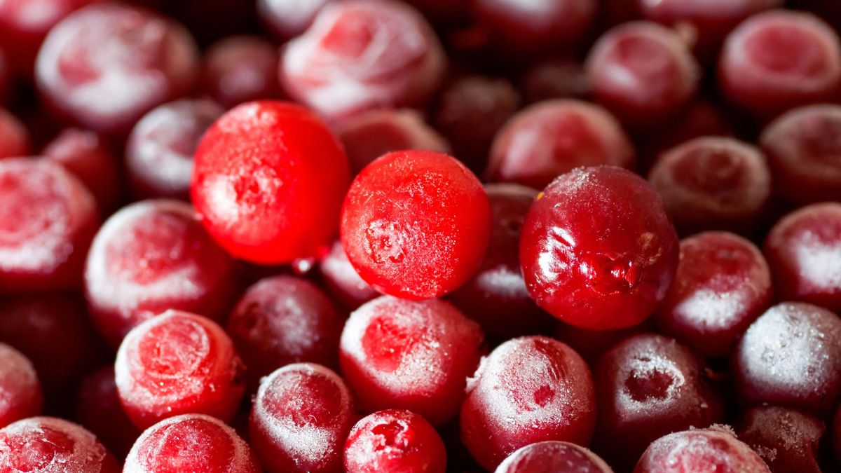 Borówka czerwona – właściwości i zastosowanie