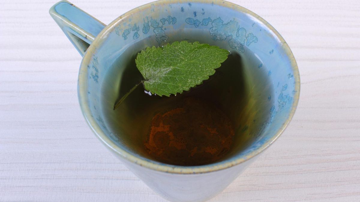 Melisa to zioło, które w prosty sposób może wprowadzić więcej spokoju do codzienności