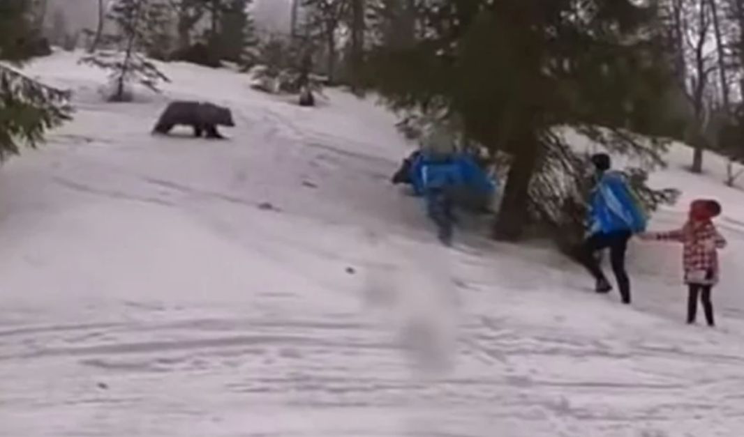 Narciarz przyznał, że turyści mieli szczęście