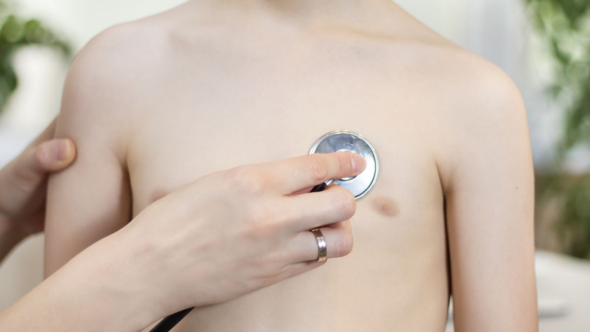 Sutek (pierś) składa się z tkanki gruczołowej i tłuszczowej.