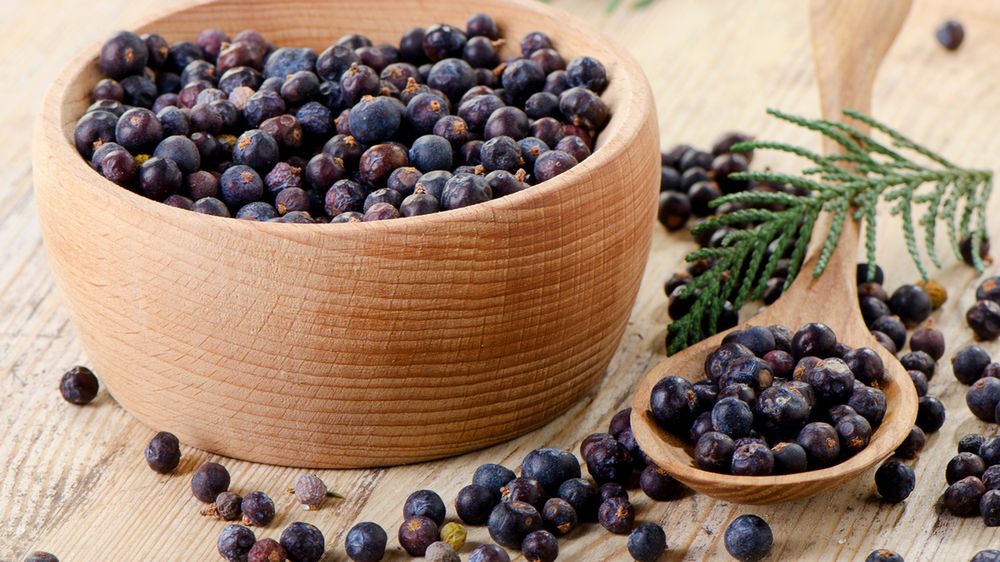 Jałowiec działa przeciwzapalnie i pomaga przy problemach żołądkowych