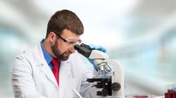 Histolog - kim jest i czym się zajmuje? Jak zostać histologiem?