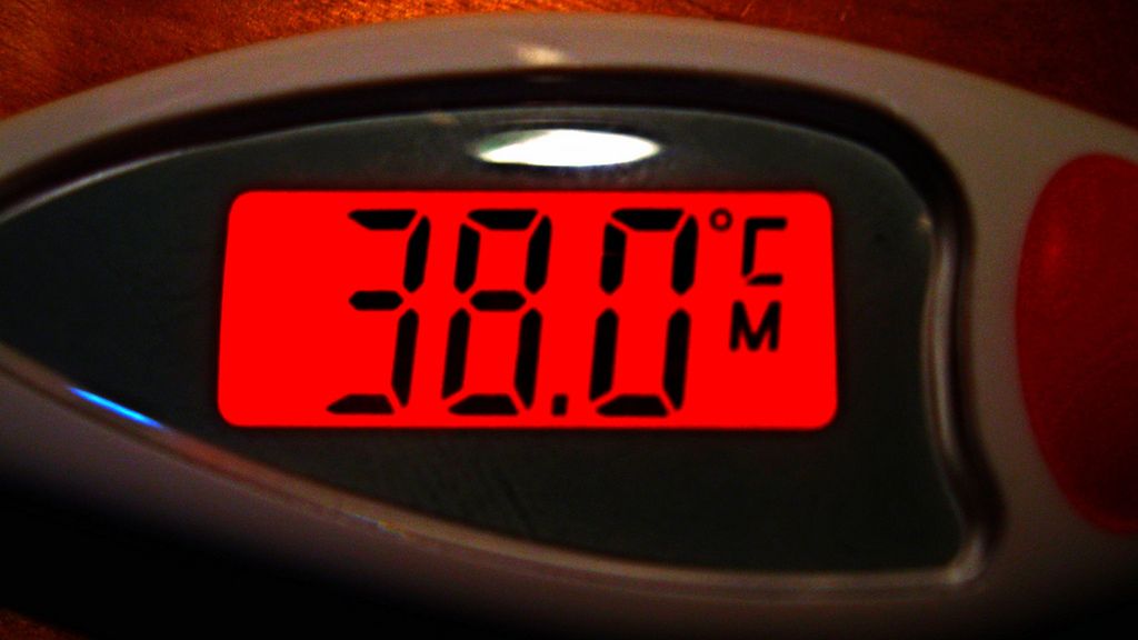 Termometr owulacyjny