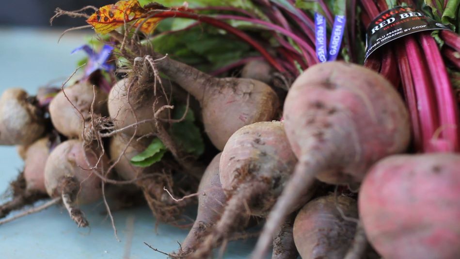 Fioletowe warzywa zawierają wiele cennych składników