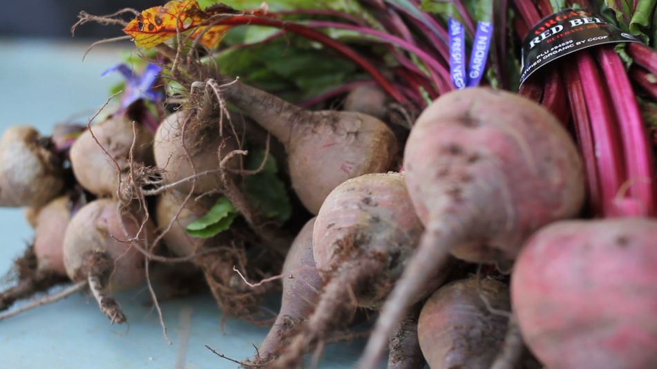 Fioletowe warzywa w diecie. Sprawdź, dlaczego warto je jeść (WIDEO)