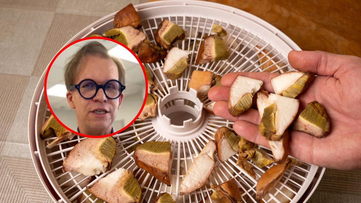 Toksykolog ostrzega przed zatruciem muchomorem