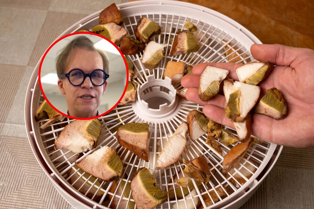 30-latek trafił na toksykologię po zatruciu muchomorem. "Był moment krytyczny"